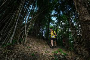 BIB: 
                            <button type="button" onclick="openModal(19395501)" class="btn btn-primary btn-sm float-right btn-popup" data-toggle="modal" data-target=".modal-high-quality">
                        <i class="fas fa-shopping-cart"></i> Add to Cart
                    </button>
                                            <button type="button" onclick="isThisMe(19395501, true)" class="btn btn-success btn-sm float-right btn-popup btn-isme hidden" data-toggle="tooltip" data-placement="bottom" title="นี่คือรูปของคุณใช่ไหม คลิกที่นี่เพื่อเอาเข้าอัลบั้ม">
                        <i class="fas fa-plus"></i> Add to album
                    </button>
                    <button type="button" onclick="isThisMe(19395501, false)" class="btn btn-warning btn-sm float-right btn-popup btn-isnotme hidden">
                        <i class="fas fa-ban"></i> Remove from album
                    </button>